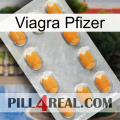 Viagra Pfizer cialis3